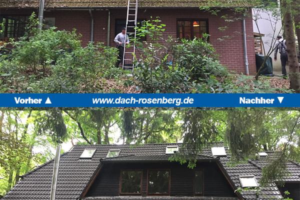 Dach-Referenz-Projekt 16